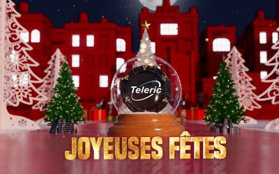 🎄 JOYEUSES FÊTES DE FIN D’ANNÉE 2021 !
